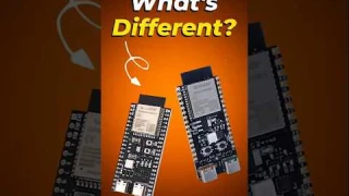 Identical… But NOT the Same?! Which One’s Smarter?