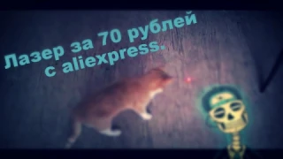 Лазер для кота за 70 рублей | Aliexpress