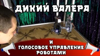 Дикий Валера и голосовое управление роботами