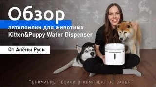 Обзор Автопоилки для животных Kitten&Puppy 🐕.🐈
