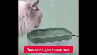 Поильник для животных. Фонтанчик для котов с Алиэкспресс
