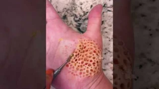 This video makes you feel trypophobia 🐝😩 #sfx #sfx_makeup #youtubeshorts #makeup #shorts