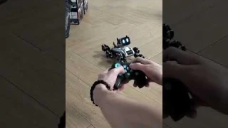 Обзор восьмиколесной трюковой собаки робот Stunt eight wheel robot dog