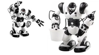 Робот 28091 Robowisdom интерактивный