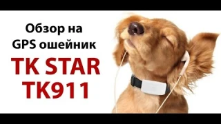 Обзор на GPS ошейник для собак TK STAR TK911