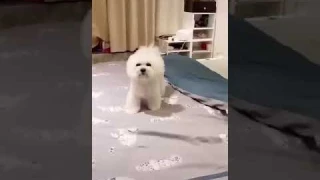 SKG頸椎按摩器4098