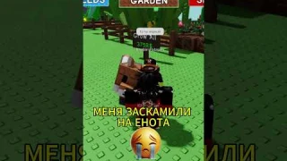 МЕНЯ ЗАСКАМИЛИ НА ЕНОТА В GROW A GARDEN ВЫРАСТИ САД #shorts #growagarden #raccoon #memes #roblox