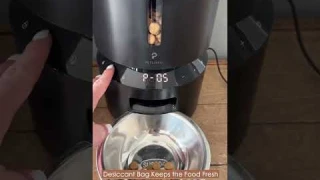 Keep Your Pet Fed And Happy With The Petlibro Automatic Pet Feeder | For Cats & Dogs