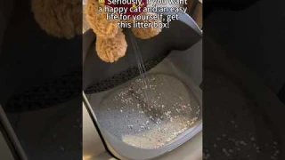 best litter box self cleaning Neakasa: #Smartcatlitterbox #cat #catlitter #clean #pet #neakasa