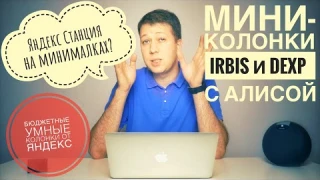 Бюджетные УМНЫЕ мини-колонки Irbis A и Dexp Smartbox с Алисой