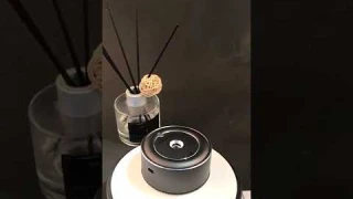 Лучший Ароматизатор в Авто. #shorts