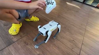 Обзор Rapidpower , робот собака, робопёс, робот пёс .