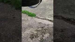 Defective Vivosun Sprayer