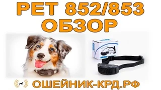 Обзор антилай ошейников PET 852, PET 852 (Ошейник-крд.рф)