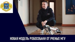 Новую модель робособаки создали ученые МГУ