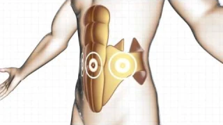 Пояс миостимулятор для тренировки мышц пресса для женщин и мужчин Slendertone Flex Unisex