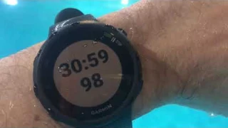 Спортивные часы Garmin Forerunner 45