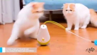 Умная интерактивная игрушка для котов и кошек Smart Interactive  CULBUTO FEATHER AFP 3204 "Неваляшка