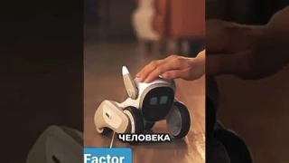 Обзор на нового робота собаку Loona #shorts
