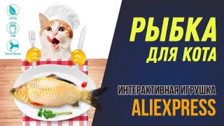 Рыбка для кота / Интерактивная игрушка для кошек / Aliexpress