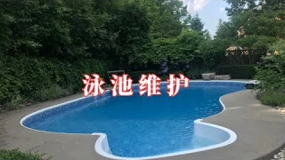 泳池底部清洁(二）自动