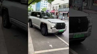 BYD Yangwang U8 Fancy Parking Features