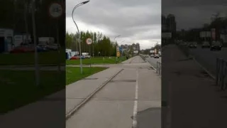 Амстафф 1 год | Глупый мужчина и Агрессия Собаки | Стаффорд | Amstaff one year | Staffy