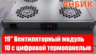 19" Вентиляторный модуль 1U с цифровой термопанелью - ANBIK.RU