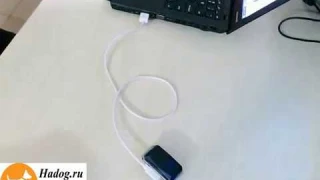 Водонепроницаемый GPS-трекер (ошейник) для собак и кошек Hadog-03