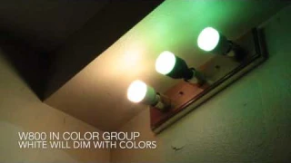 LIFX Original, Color 1000, White 800 Side by Side Comparison