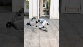 🔥🤖 Unitree G1’s Kip-Up Is 100% Real! No More Doubts! #unitree #robot #humanoidrobot  #robotics