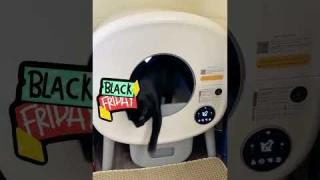 #home #catbox #robot #catlittermat #catlitter #catlovers #litterbox #littering #pets #cat