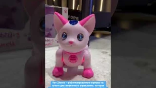 Умный питомец. Кот Zhorya — роботизированная игрушка на пульте. #дети #умныйкот #питомцы #развитие