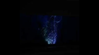Распылитель для аквариума с Подсветкой