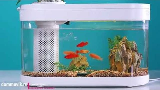 Настольный мини аквариум для интерьера дома