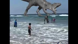 Plage Dinosaure