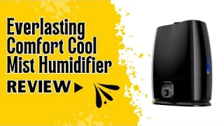 Everlasting Comfort Cool Mist Humidifier Review (Pros & Cons Explained)
