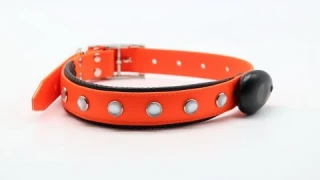 Ошейник светящийся PVC Orange