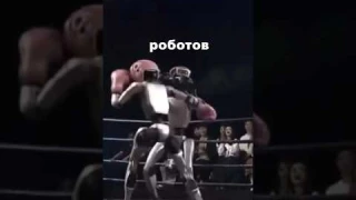 Первый бой между РОБОТАМИ.