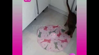 Прятки - отзывы