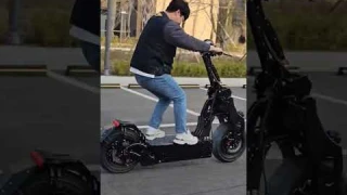 Electric Scooter WEPED Sonic Burnout