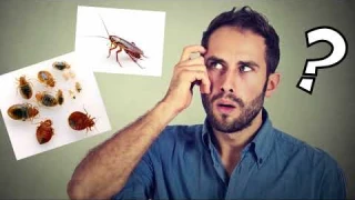 СЕТКА от КЛОПОВ и ТАРАКАНОВ на вентиляцию. СРАВНЕНИЕ+Инструкция по установке.