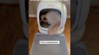 #meowant Cat Litter Box-Self-Cleaning-SC02😻😻 #catlitter #catlittermat #catlitterbox #pets