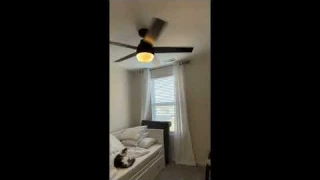 Review Hunter Fan Company 51314 Aerodyne Ceiling Fan, 52, Matte Black