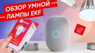 Обзор умной лампы EKF Connect E27 RGBW 8W | Управление голосом