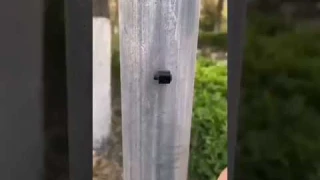 Product Link in the Comments! Mini Motion Detection Wireless Night Vision HD Security Camera