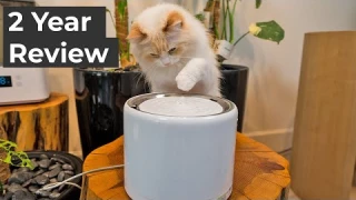 PETKIT Eversweet Pro 3 Wireless Water Fountain Review | The Cat Butler