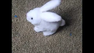 So.. my little brother puts battery's for this new robot bunny toy