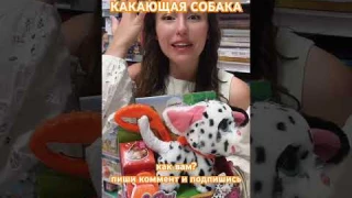 КАКАЮЩАЯ СОБАКА FURREAL 🐶ИНТЕРАКТИВНАЯ ИГРУШКА #furreal#furrealfriends#furreallaughs#игрушки#toys