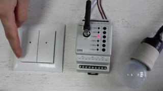 Беспроводной выключатель iNELS RFWB-40/G: обзор и настройка